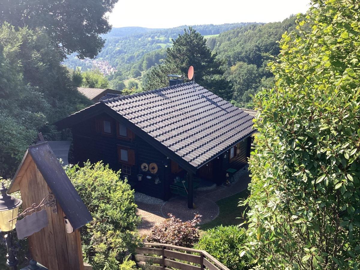 Chalet Spessart Dammbach Kültér fotó