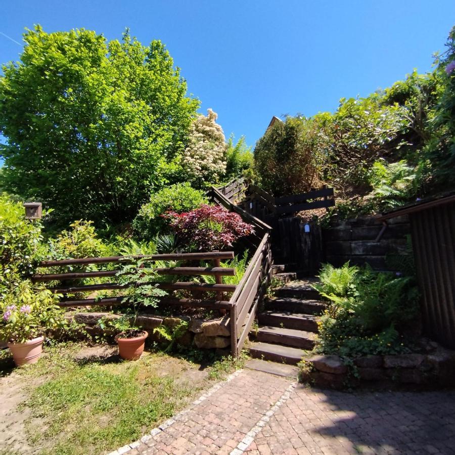 Chalet Spessart Dammbach Kültér fotó