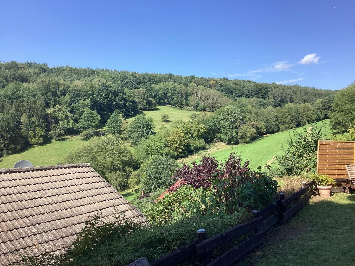Chalet Spessart Dammbach Kültér fotó
