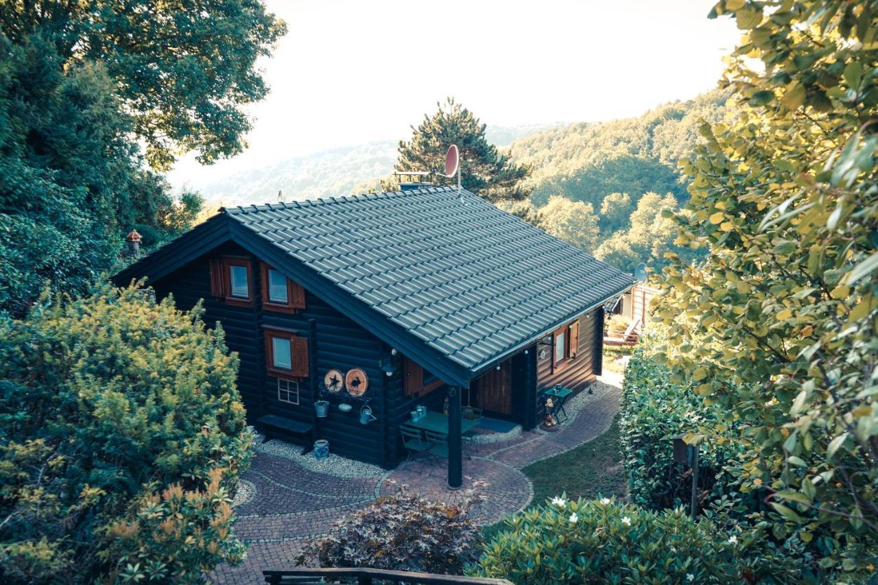 Chalet Spessart Dammbach Kültér fotó