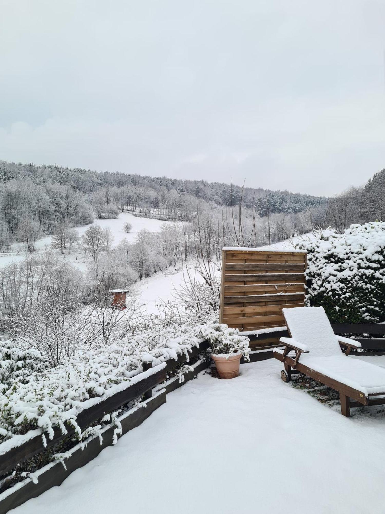 Chalet Spessart Dammbach Kültér fotó